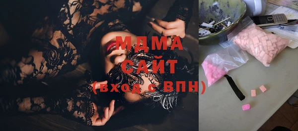 индика Богородск