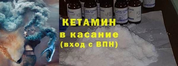 индика Богородск