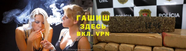 индика Богородск