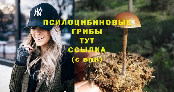 mdma Богданович