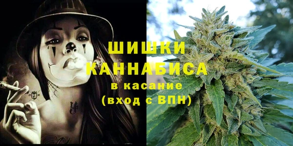 индика Богородск