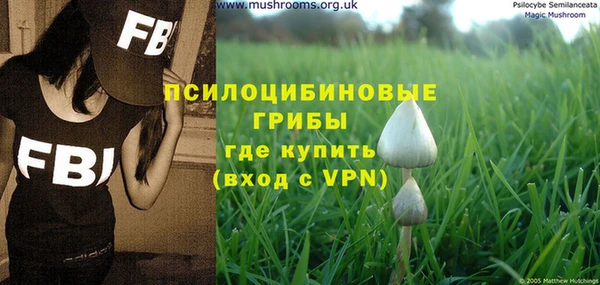 винт Осинники