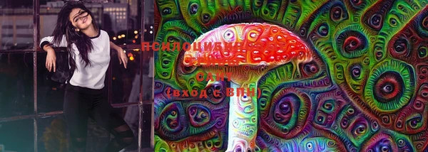 mix Богородицк