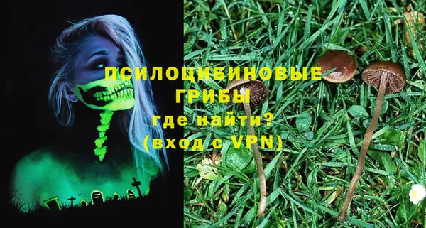 индика Богородск