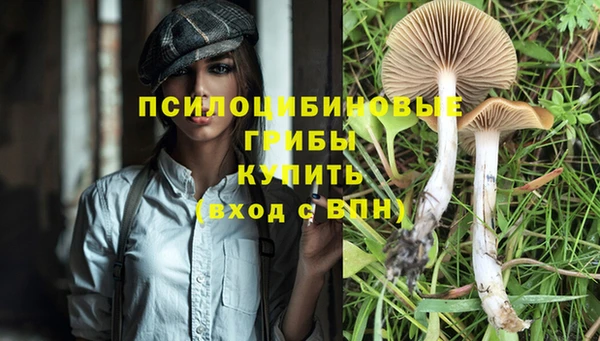 индика Богородск