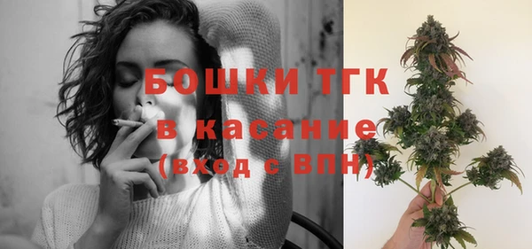 mix Богородицк